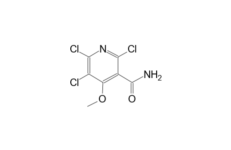 3-pyridinecarboxamide, 2,5,6-trichloro-4-methoxy-