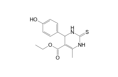 5-Ethoxycarbonyl-6-methyl-4-(4-hydroxy-phenyl)-3,4-dihydropyrimidin-2-(1H)-thione