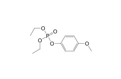 (4-METHOXYPHENYL)-DIETHYL-PHOSPHATE
