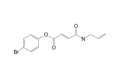 Fumaric acid, monoamide, N-allyl-, 4-bromophenyl ester