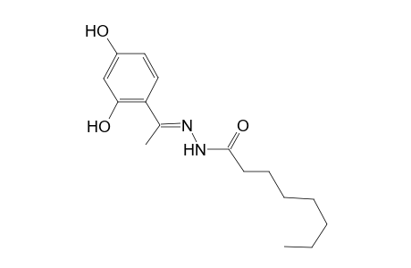 N'-[(E)-1-(2,4-dihydroxyphenyl)ethylidene]octanohydrazide