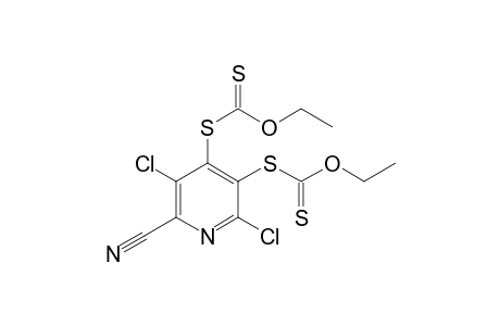 S,S'-(2,5-DICHLORO-6-CYANOPYRIDYL)-3,4-BIS-[ETHYLXANTHATE]