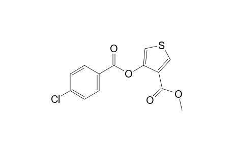 4-hydroxy-3-thiophenecarboxylic acid, methyl ester, p-chlorobenzoate