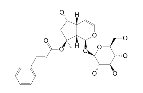 8-CINNAMOYLMYOPOROSIDE