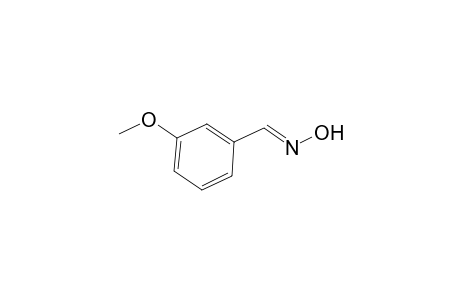 META-METHOXYBENZALDOXIM