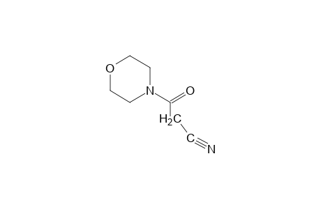 4-(Cyanoacetyl)morpholine