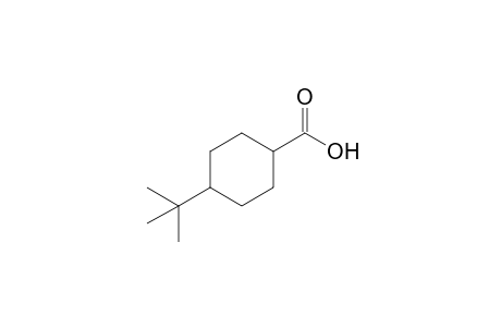 4-tert-Butylcyclohexanecarboxylic acid