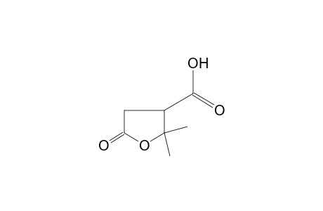 2,2-Dimethyl-5-oxotetrahydro-3-furoic acid