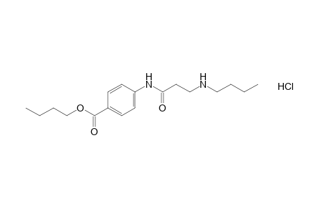 p-(3-butylaminopropionamido)benzoic acid, butyl ester, hydrochloride