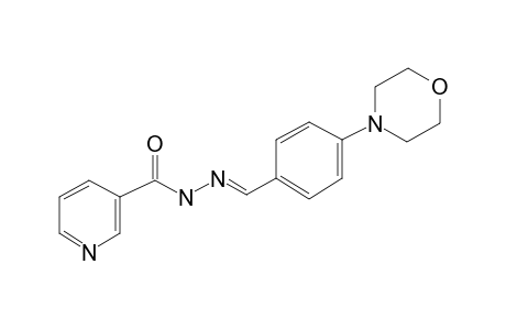 Pyridine-3-carbohydrazide, N2-[4-(4-morpholino)benzylideno]-