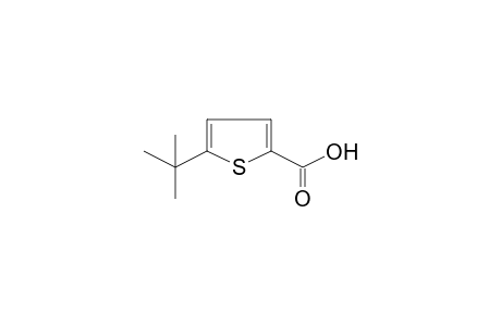 5-tert-Butyl-2-thiophenecarboxylic acid