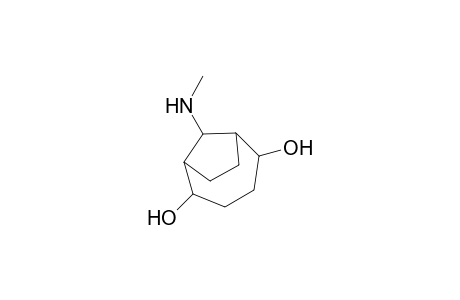 9-(methylamino)bicyclo[4.2.1]nonane-2,5-diol