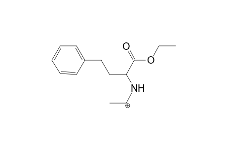 Ramipril MS3_2