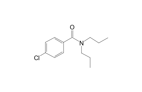 Benzamide, 4-chloro-N,N-dipropyl-