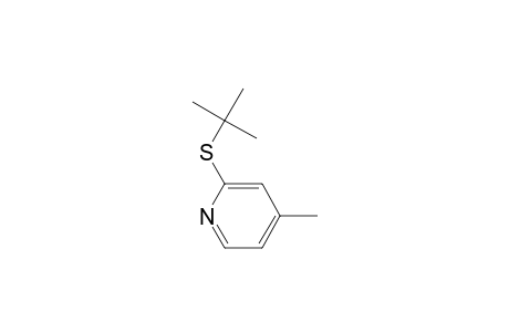 4-Picoline, 2-(tert-butylthio)-