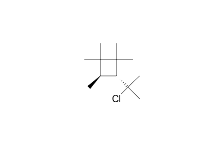 Cyclobutane, 3-(1-chloro-1-methylethyl)-1,1,2,2,4-pentamethyl-, trans-