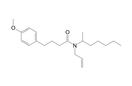 Butyramide, N-allyl-N-(hept-2-yl)-4-(4-methoxyphenyl)-