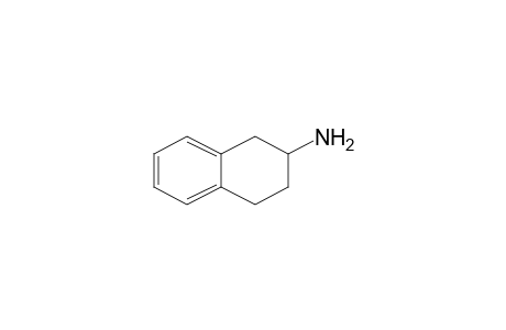 1,2,3,4-tetrahydro-2-naphthylamine