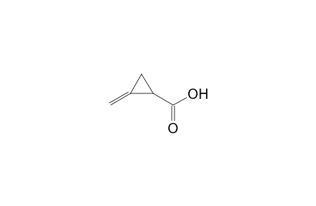 2-Methylenecyclopropanecarboxylic acid