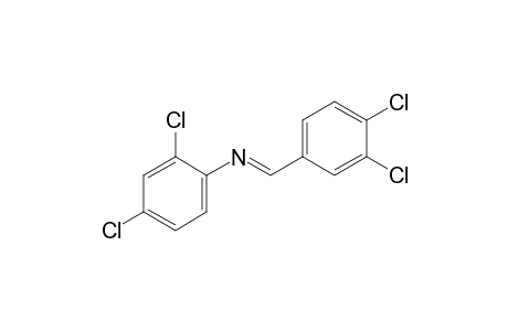 2,4-dichloro-N-(3,4-dichlorobenzylidene)aniline