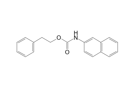 2-naphthalenecarbamic acid, phenethyl ester