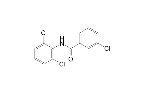 2',3,6'-Trichlorobenzanilide