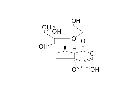 8-EPIDEOXYLOGANIC ACID