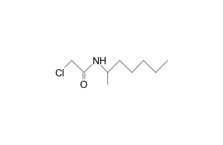 2-chloro-N-(1-methylhexyl)acetamide