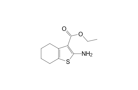 Ethyl 2-amino-4,5,6,7-tetrahydrobenzo[b]thiophene-3-carboxylate