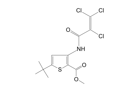 5-tert-butyl-3-(2,3,3-trichloroacrylamido)-2-thiophenecarboxylic acid, methyl ester