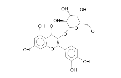 QUERCETIN-3-O-GALACTOPYRANOSIDE