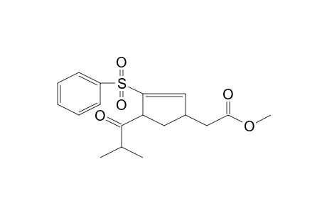 (3-Benzenesulfonyl-4-isobutyrylcyclopent-2-enyl)acetic acid, methyl ester