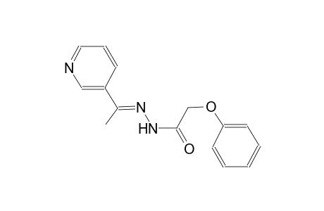 2-phenoxy-N'-[(E)-1-(3-pyridinyl)ethylidene]acetohydrazide