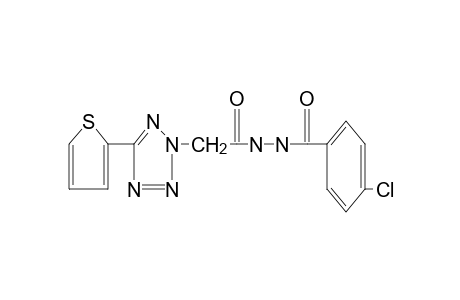 1-(p-chlorobenzoyl)-2-{[5-(2-thienyl)-2H-tetrazol-2-yl]acetyl]hydrazine