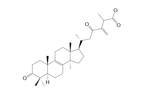 QUERCINIC-ACID-B;24-METHYLENE-3,23-DIOXOLANOST-8-EN-26-OIC-ACID