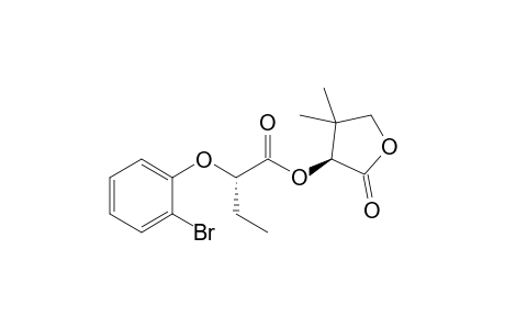 2-(S)-(o-Bromophenoxy)butanoic Acid (R)-Pantolactone Ester