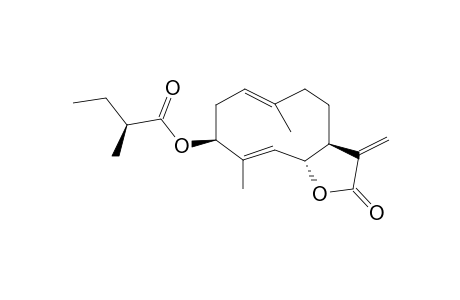 3-[(S)-2-METHYLBUTYRYLOXY]-COSTU-1(10),4(5)-DIEN-12,6-ALPHA-OLIDE