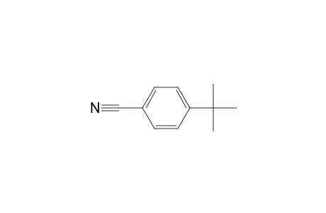 4-tert-Butylbenzonitrile