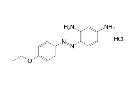 4-[(p-ethoxyphenyl)azo]-m-phenylenediamine, monohydrochloride