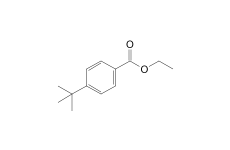 p-Tert-butylbenzoic acid, ethyl ester