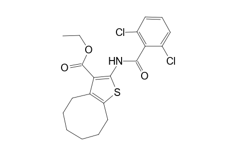 Ethyl 2-[(2,6-dichlorobenzoyl)amino]-4,5,6,7,8,9-hexahydrocycloocta[B]thiophene-3-carboxylate