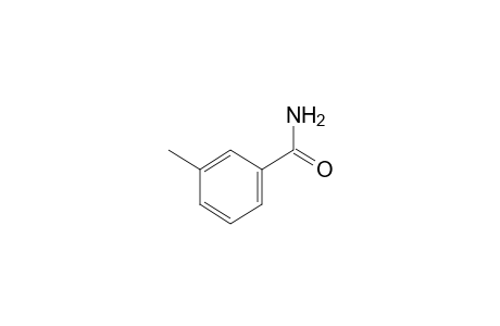 m-Toluamide