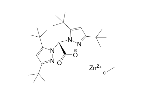 zinc(II) 2,2-bis(3,5-di-tert-butyl-1H-pyrazol-1-yl)acetate ethanide