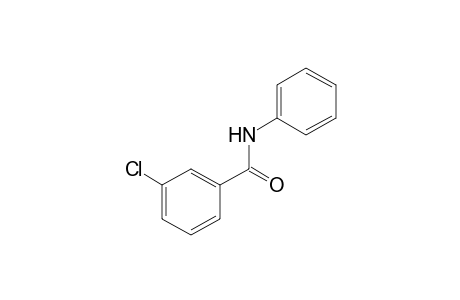3-chlorobenzanilide