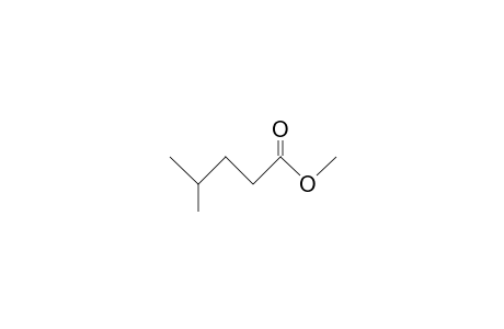 4-methylvaleric acid, methyl ester