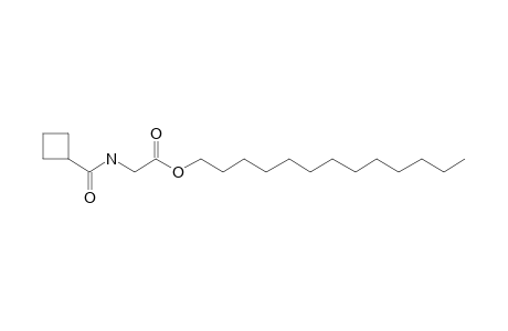 Glycine, N-(cyclobutylcarbonyl)-, tridecyl ester