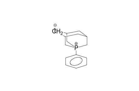 1-PHENYL-1-PHOSPHATRICYCLO-[3.3.1.1(3,7)]-DECANE-IODIDE