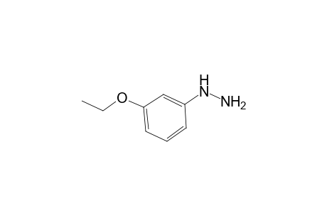 3-Ethoxyphenylhydrazine