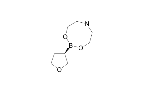(3R)-(+)-Tetrahydrofuranylboronic acid diethanolamine ester