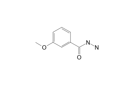 m-Anisic hydrazide